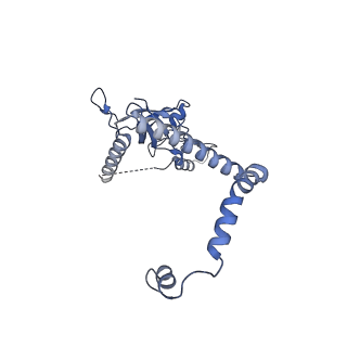 35288_8i9y_CK_v1-1
Cryo-EM structure of a Chaetomium thermophilum pre-60S ribosomal subunit - Ytm1-2