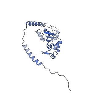 35288_8i9y_CM_v1-1
Cryo-EM structure of a Chaetomium thermophilum pre-60S ribosomal subunit - Ytm1-2