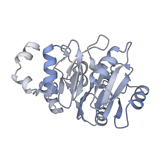 35288_8i9y_CN_v1-1
Cryo-EM structure of a Chaetomium thermophilum pre-60S ribosomal subunit - Ytm1-2