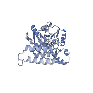 35288_8i9y_CP_v1-1
Cryo-EM structure of a Chaetomium thermophilum pre-60S ribosomal subunit - Ytm1-2