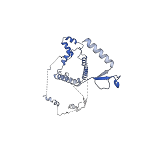 35288_8i9y_CS_v1-1
Cryo-EM structure of a Chaetomium thermophilum pre-60S ribosomal subunit - Ytm1-2