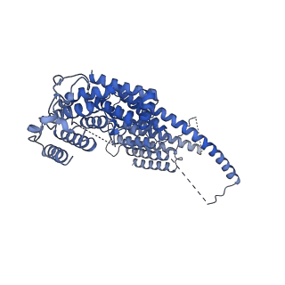 35288_8i9y_CT_v1-1
Cryo-EM structure of a Chaetomium thermophilum pre-60S ribosomal subunit - Ytm1-2