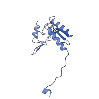 35288_8i9y_CV_v1-1
Cryo-EM structure of a Chaetomium thermophilum pre-60S ribosomal subunit - Ytm1-2