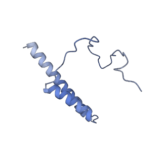 35288_8i9y_CX_v1-1
Cryo-EM structure of a Chaetomium thermophilum pre-60S ribosomal subunit - Ytm1-2