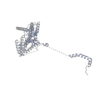 35288_8i9y_CY_v1-1
Cryo-EM structure of a Chaetomium thermophilum pre-60S ribosomal subunit - Ytm1-2