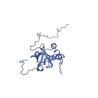 35288_8i9y_LE_v1-1
Cryo-EM structure of a Chaetomium thermophilum pre-60S ribosomal subunit - Ytm1-2
