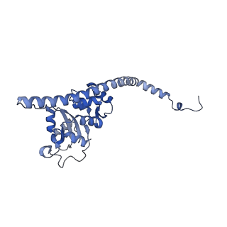 35288_8i9y_LF_v1-1
Cryo-EM structure of a Chaetomium thermophilum pre-60S ribosomal subunit - Ytm1-2