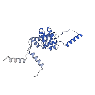 35288_8i9y_LG_v1-1
Cryo-EM structure of a Chaetomium thermophilum pre-60S ribosomal subunit - Ytm1-2
