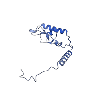 35288_8i9y_LL_v1-1
Cryo-EM structure of a Chaetomium thermophilum pre-60S ribosomal subunit - Ytm1-2