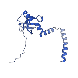35288_8i9y_LM_v1-1
Cryo-EM structure of a Chaetomium thermophilum pre-60S ribosomal subunit - Ytm1-2