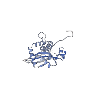 35288_8i9y_LN_v1-1
Cryo-EM structure of a Chaetomium thermophilum pre-60S ribosomal subunit - Ytm1-2