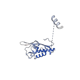 35288_8i9y_LP_v1-1
Cryo-EM structure of a Chaetomium thermophilum pre-60S ribosomal subunit - Ytm1-2