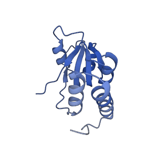 35288_8i9y_LQ_v1-1
Cryo-EM structure of a Chaetomium thermophilum pre-60S ribosomal subunit - Ytm1-2
