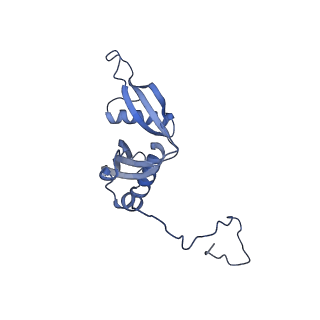 35288_8i9y_LS_v1-1
Cryo-EM structure of a Chaetomium thermophilum pre-60S ribosomal subunit - Ytm1-2