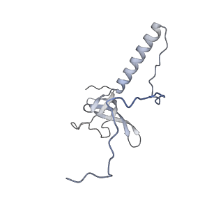 35288_8i9y_LT_v1-1
Cryo-EM structure of a Chaetomium thermophilum pre-60S ribosomal subunit - Ytm1-2