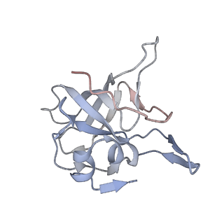 35288_8i9y_LV_v1-1
Cryo-EM structure of a Chaetomium thermophilum pre-60S ribosomal subunit - Ytm1-2