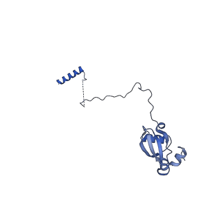 35288_8i9y_LX_v1-1
Cryo-EM structure of a Chaetomium thermophilum pre-60S ribosomal subunit - Ytm1-2
