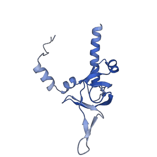 35288_8i9y_LY_v1-1
Cryo-EM structure of a Chaetomium thermophilum pre-60S ribosomal subunit - Ytm1-2