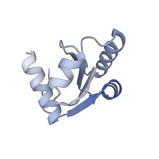 35288_8i9y_Lc_v1-1
Cryo-EM structure of a Chaetomium thermophilum pre-60S ribosomal subunit - Ytm1-2