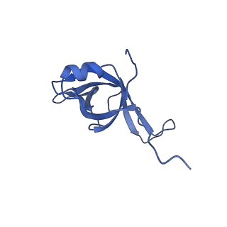35288_8i9y_Lf_v1-1
Cryo-EM structure of a Chaetomium thermophilum pre-60S ribosomal subunit - Ytm1-2