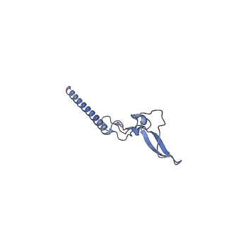 35288_8i9y_Lg_v1-1
Cryo-EM structure of a Chaetomium thermophilum pre-60S ribosomal subunit - Ytm1-2