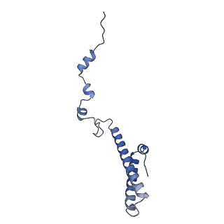 35288_8i9y_Lh_v1-1
Cryo-EM structure of a Chaetomium thermophilum pre-60S ribosomal subunit - Ytm1-2