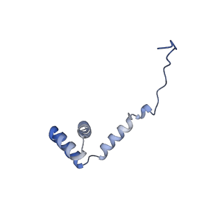 35288_8i9y_Li_v1-1
Cryo-EM structure of a Chaetomium thermophilum pre-60S ribosomal subunit - Ytm1-2