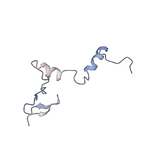 35288_8i9y_Lj_v1-1
Cryo-EM structure of a Chaetomium thermophilum pre-60S ribosomal subunit - Ytm1-2