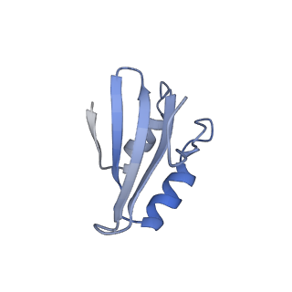 35288_8i9y_Lk_v1-1
Cryo-EM structure of a Chaetomium thermophilum pre-60S ribosomal subunit - Ytm1-2