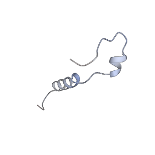 35288_8i9y_Ll_v1-1
Cryo-EM structure of a Chaetomium thermophilum pre-60S ribosomal subunit - Ytm1-2