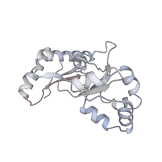 35288_8i9y_Lq_v1-1
Cryo-EM structure of a Chaetomium thermophilum pre-60S ribosomal subunit - Ytm1-2