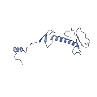 4434_6i9r_0_v1-4
Large subunit of the human mitochondrial ribosome in complex with Virginiamycin M and Quinupristin
