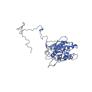 4434_6i9r_5_v1-4
Large subunit of the human mitochondrial ribosome in complex with Virginiamycin M and Quinupristin