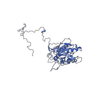 4434_6i9r_5_v2-0
Large subunit of the human mitochondrial ribosome in complex with Virginiamycin M and Quinupristin