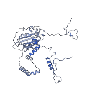 4434_6i9r_6_v1-4
Large subunit of the human mitochondrial ribosome in complex with Virginiamycin M and Quinupristin