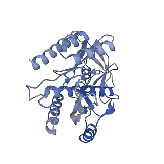 4434_6i9r_7_v1-4
Large subunit of the human mitochondrial ribosome in complex with Virginiamycin M and Quinupristin