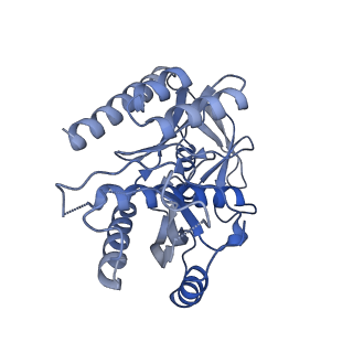 4434_6i9r_7_v2-0
Large subunit of the human mitochondrial ribosome in complex with Virginiamycin M and Quinupristin