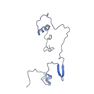 4434_6i9r_9_v1-4
Large subunit of the human mitochondrial ribosome in complex with Virginiamycin M and Quinupristin
