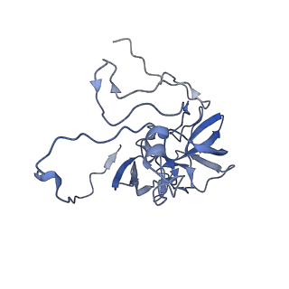4434_6i9r_D_v1-4
Large subunit of the human mitochondrial ribosome in complex with Virginiamycin M and Quinupristin