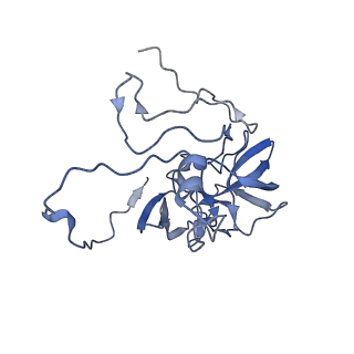 4434_6i9r_D_v2-0
Large subunit of the human mitochondrial ribosome in complex with Virginiamycin M and Quinupristin
