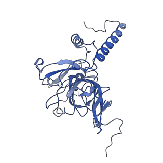 4434_6i9r_E_v1-4
Large subunit of the human mitochondrial ribosome in complex with Virginiamycin M and Quinupristin