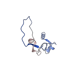4434_6i9r_H_v1-4
Large subunit of the human mitochondrial ribosome in complex with Virginiamycin M and Quinupristin