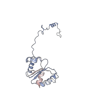 4434_6i9r_I_v1-4
Large subunit of the human mitochondrial ribosome in complex with Virginiamycin M and Quinupristin