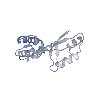 4434_6i9r_J_v1-4
Large subunit of the human mitochondrial ribosome in complex with Virginiamycin M and Quinupristin