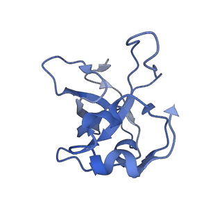 4434_6i9r_L_v1-4
Large subunit of the human mitochondrial ribosome in complex with Virginiamycin M and Quinupristin