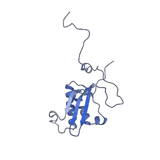 4434_6i9r_P_v2-0
Large subunit of the human mitochondrial ribosome in complex with Virginiamycin M and Quinupristin