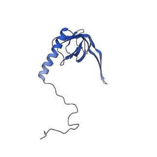 4434_6i9r_S_v1-4
Large subunit of the human mitochondrial ribosome in complex with Virginiamycin M and Quinupristin