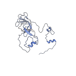 4434_6i9r_V_v1-4
Large subunit of the human mitochondrial ribosome in complex with Virginiamycin M and Quinupristin