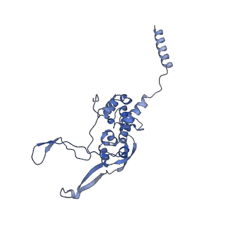 4434_6i9r_X_v1-4
Large subunit of the human mitochondrial ribosome in complex with Virginiamycin M and Quinupristin