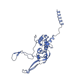 4434_6i9r_X_v2-0
Large subunit of the human mitochondrial ribosome in complex with Virginiamycin M and Quinupristin